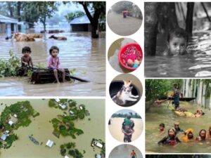 Read more about the article Bangladesh Flash Flood Tragedy 2024 Disaster Situation Analysis Report